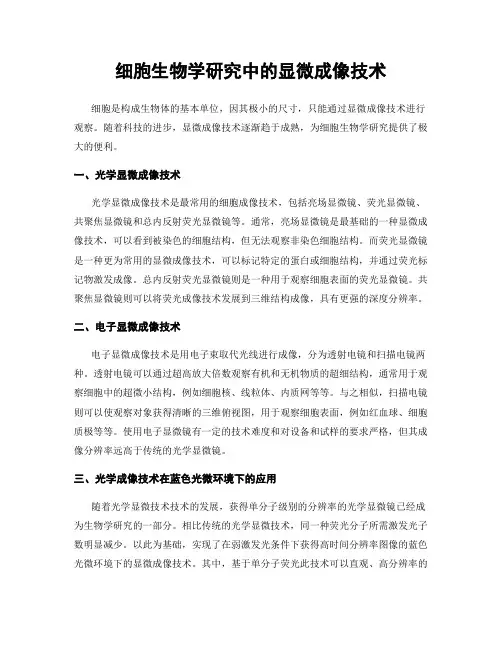 细胞生物学研究中的显微成像技术