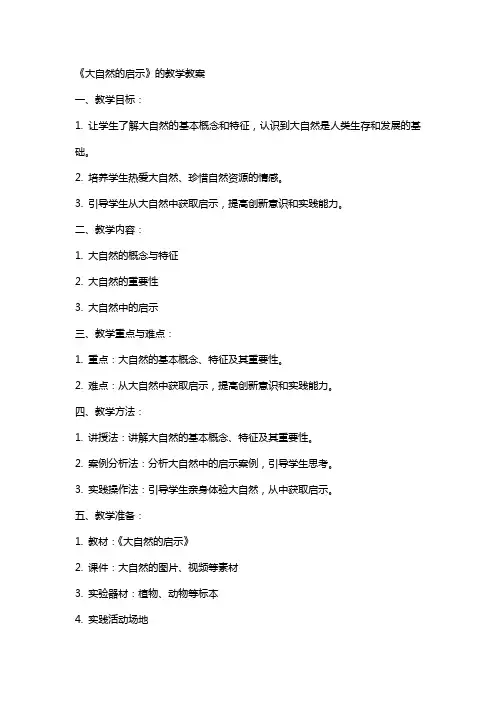 《大自然的启示》的教学教案