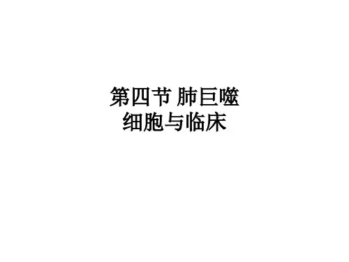第四节 肺巨噬细胞与临床ppt课件