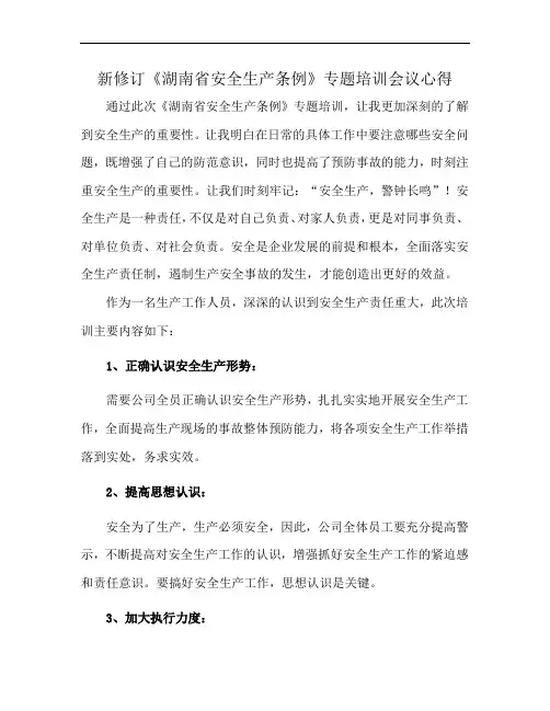 新修订《湖南省安全生产条例》专题培训会议心得