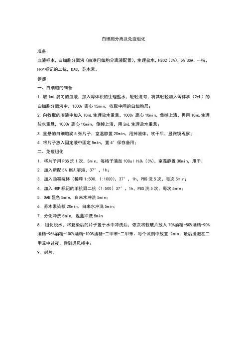 白细胞分离及免疫组化