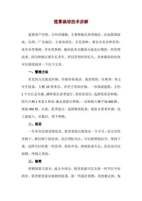 莲雾栽培技术讲解