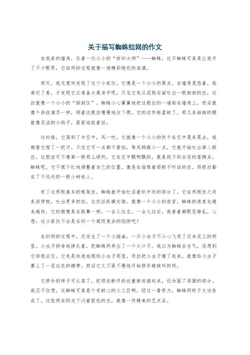 关于描写蜘蛛结网的作文