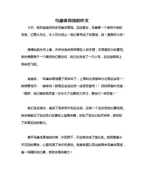 鸟巢体育馆的作文