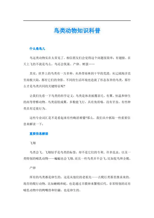鸟类动物知识科普