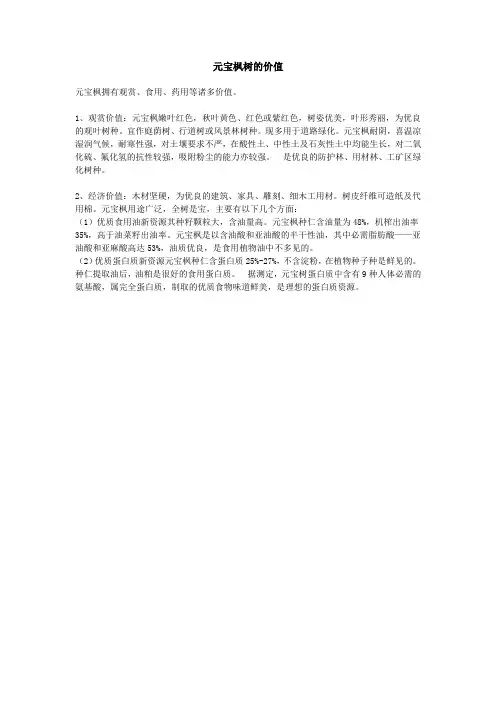 元宝枫树的价值