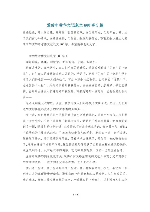 爱的中考作文记叙文800字5篇