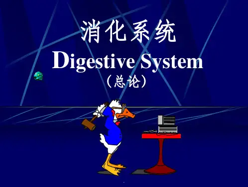 消化系统总论最新版本ppt课件