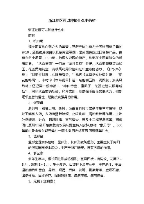 浙江地区可以种植什么中药材