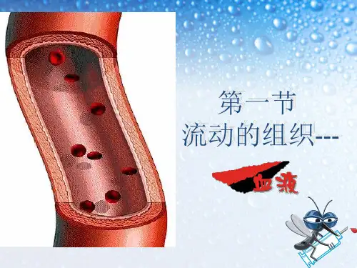 人教版七下生物流动的组织——血液课件