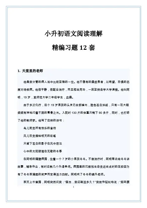 小升初语文阅读理解精编习题12套(附答案)