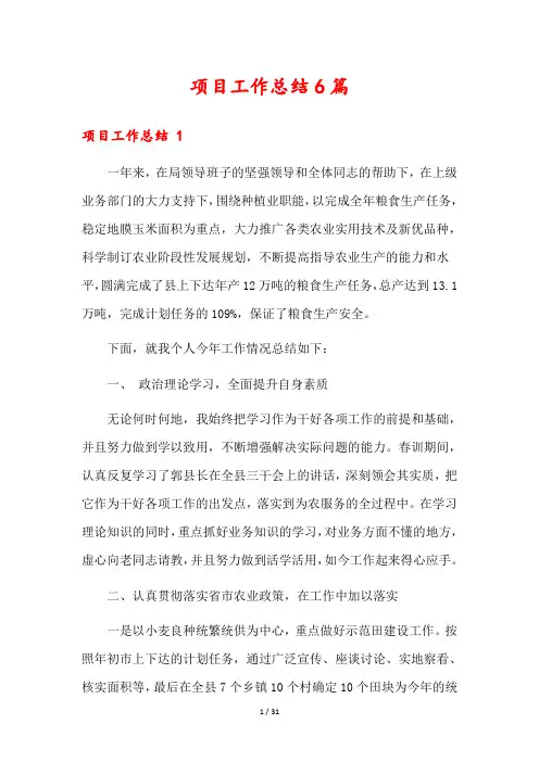 项目工作总结6篇