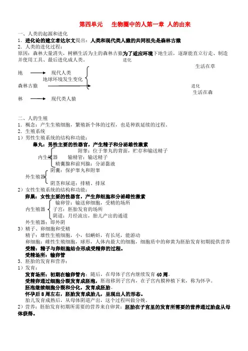 七年级生物下册 第四单元  生物圈中的人知识点 人教新课标版