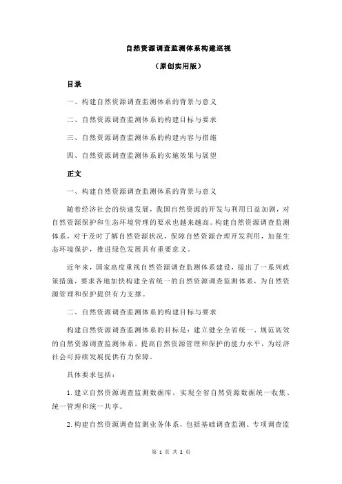 自然资源调查监测体系构建巡视
