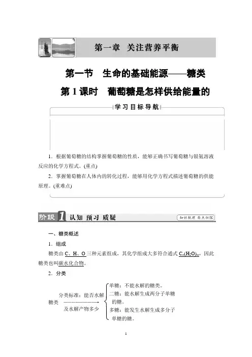 第1课时 葡萄糖是怎样供给能量的