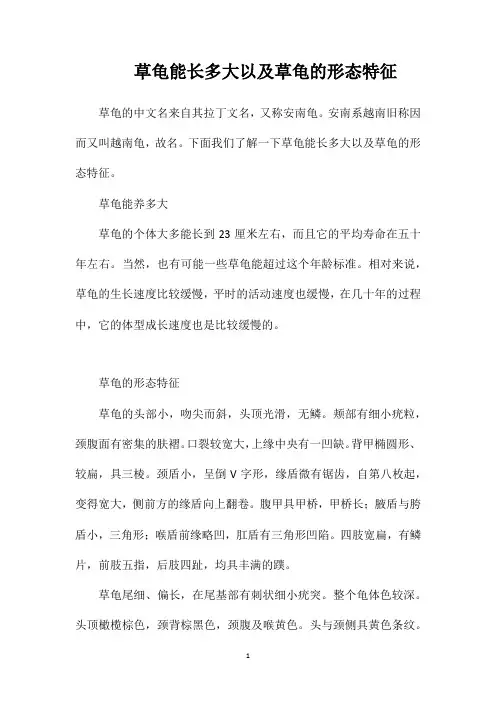 草龟能长多大以及草龟的形态特征