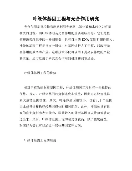 叶绿体基因工程与光合作用研究