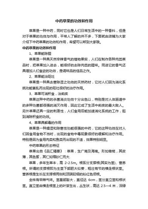 中药草果的功效和作用