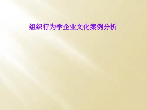 组织行为学企业文化案例分析