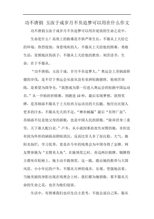 功不唐捐 玉汝于成岁月不负追梦可以用在什么作文