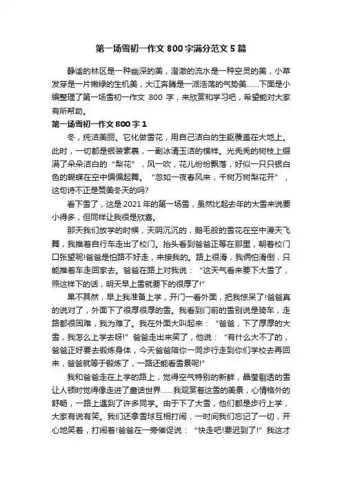 第一场雪初一作文800字满分范文5篇