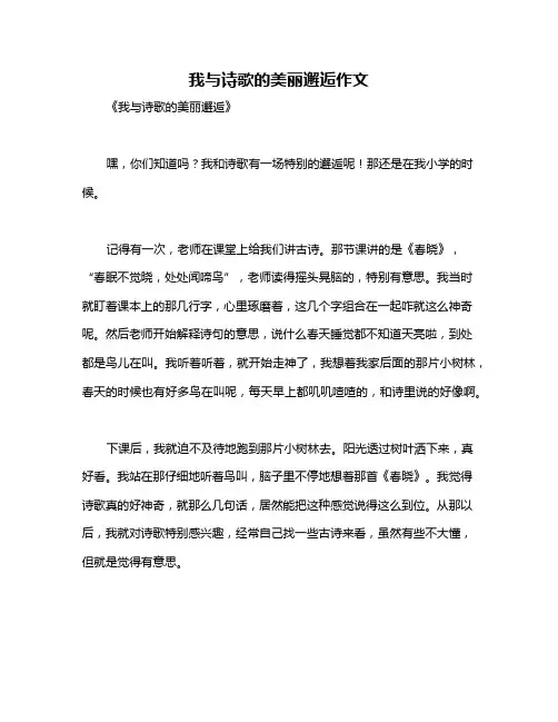 我与诗歌的美丽邂逅作文