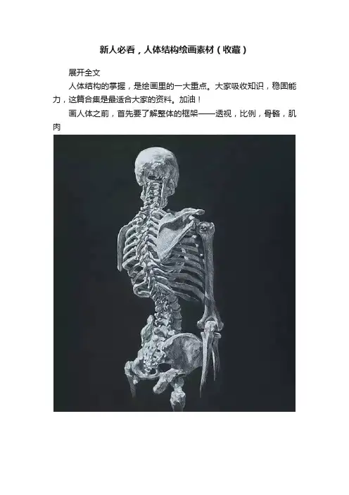 新人必看，人体结构绘画素材（收藏）