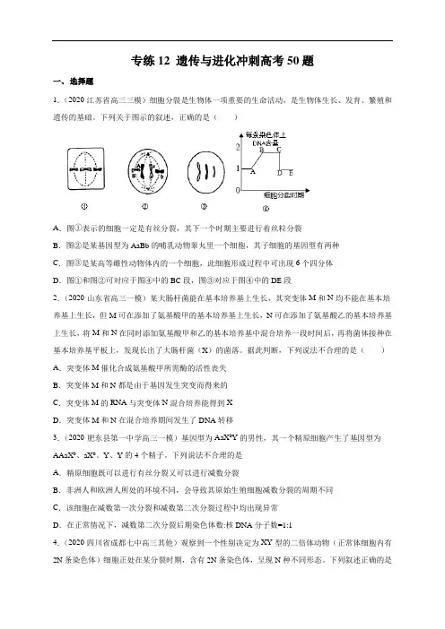 高中生物高考专练12 遗传与进化冲刺高考 题-2020年高考生物总复习考点必杀800题(原卷版)