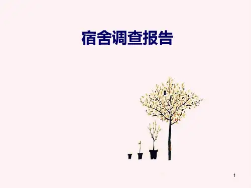 宿舍调查报告PPT课件