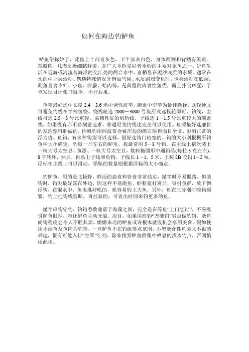 如何在海边钓鲈鱼