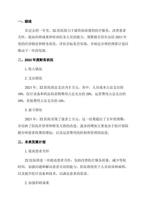 2024年度XX医院预算报告