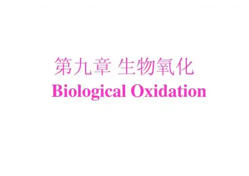 动物生物化学课件9 生物氧化