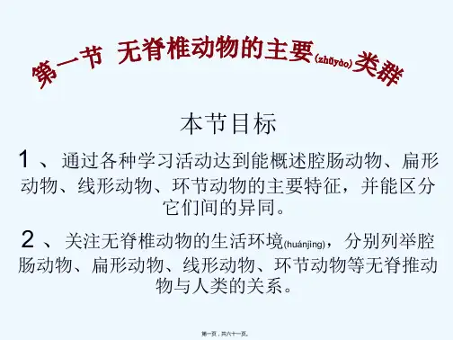 七年级生物上册第二单元第二章第一节无脊椎动物的主要类群