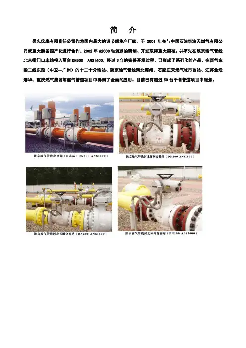 轴流阀样本