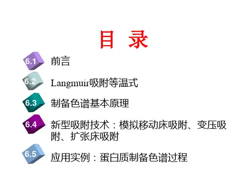 化工分离过程第6章吸附与制备色谱