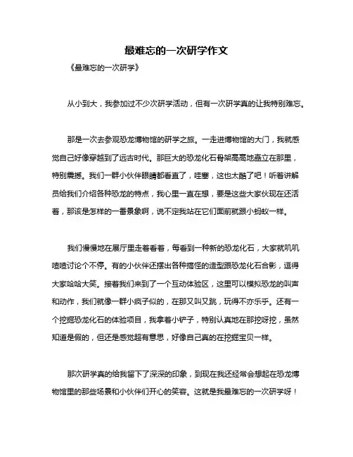 最难忘的一次研学作文