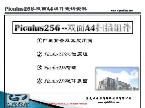 Piculus256-双面A4组件产品