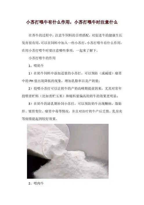 小苏打喂牛有什么作用,小苏打喂牛时注意什么