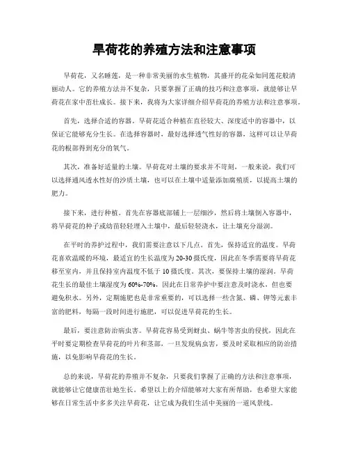 旱荷花的养殖方法和注意事项
