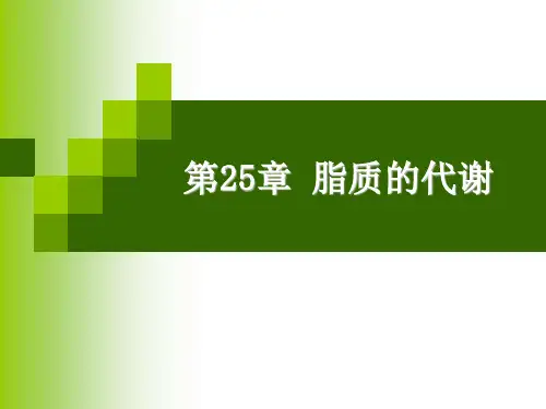 第七章 脂类代谢