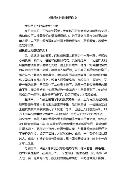 成长路上无捷径作文