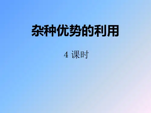 杂种优势的利用 0PPT课件