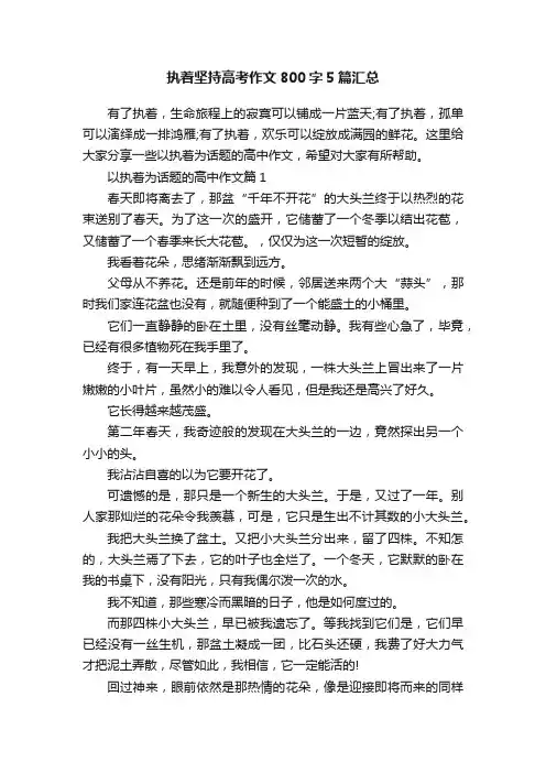 执着坚持高考作文800字5篇汇总