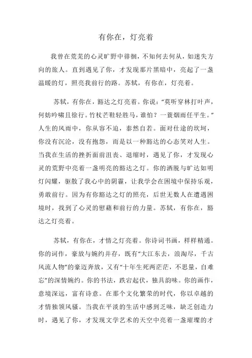 优秀作文《有你在,灯亮着》