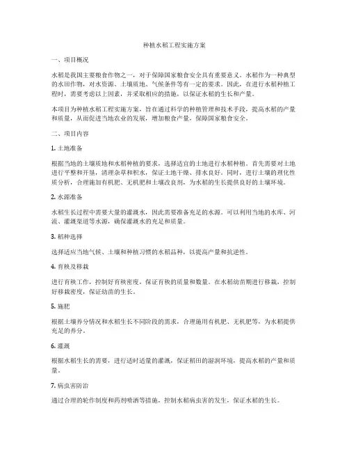 种植水稻工程实施方案