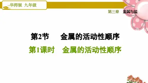 华师版九年级科学《金属的活动性顺序》ppt课件