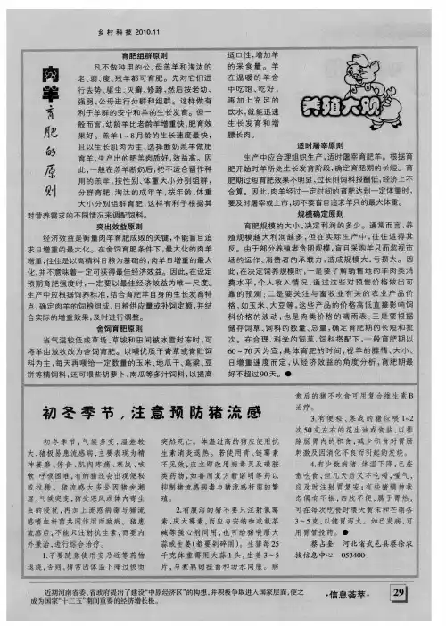 肉羊育肥的原则