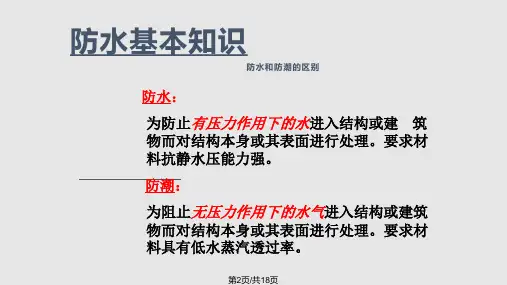 防水基本知识.pptx