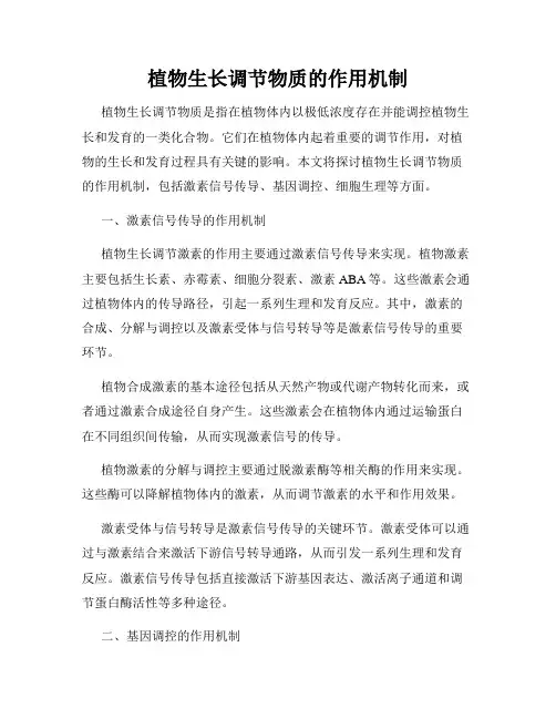 植物生长调节物质的作用机制