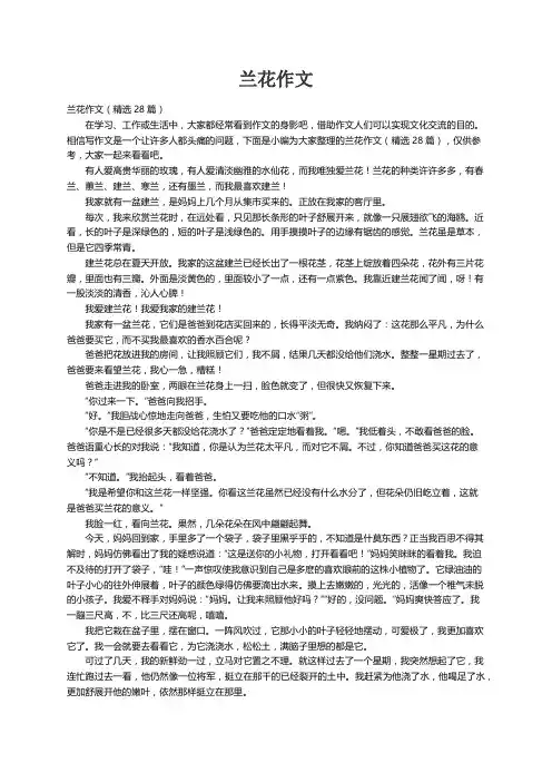 兰花作文（精选28篇）